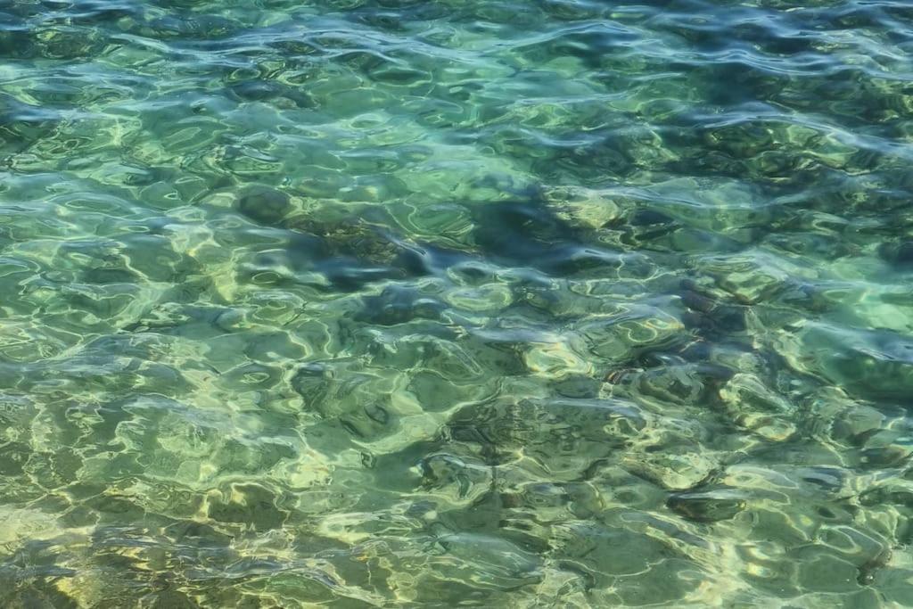 "Aime Gwada", Appartement A 40M De La Plage, Rez-De-Jardin Tropical Le Gosier  Εξωτερικό φωτογραφία